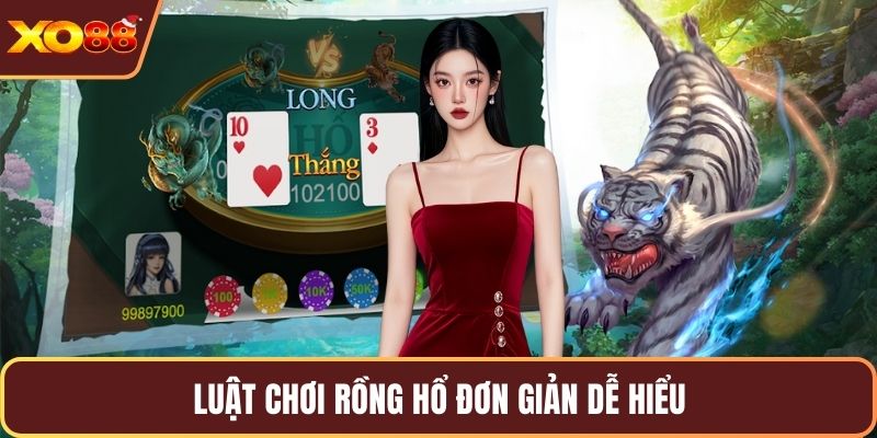 Luật chơi rồng hổ đơn giản dễ hiểu