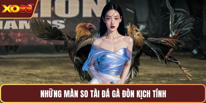 Những màn so tài đá gà đòn kịch tính